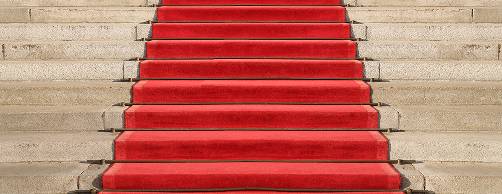 © shutterstock.com/maradon 333